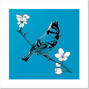 Crested Sparrow on a branch in Japan Posters and Art